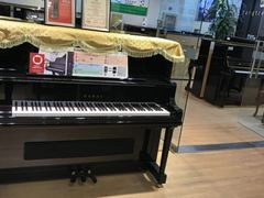-柏斯琴行(汾阳店)