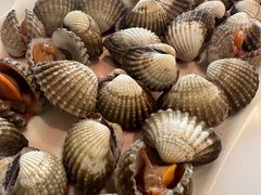 -华盛丰温州大排档(东三环南路店)