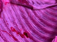 -无锡天鹏食品城