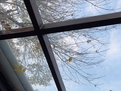 -VOYAGE COFFEE(北锣鼓巷店)