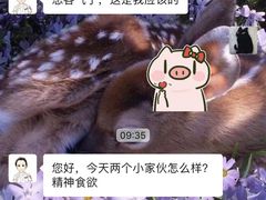 -宠爱国际动物医院·消化内科·心肾内科·ISFM猫友好(望京店)