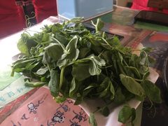 -泸沽肴(泸沽湖大洛水村农村信用社旁店)