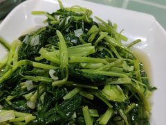 清炒空心菜-威海渔村(静安旗舰店)