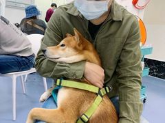 -美联众合爱康动物医院•复杂内科•肿瘤科•牙科•腔镜诊疗中心