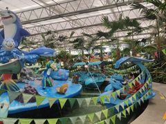 -南宫五洲植物乐园