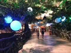 -杭州浪浪浪水公园