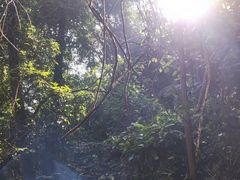 -黄埔油麻山森林公园