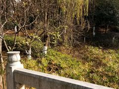 -尚贤河湿地