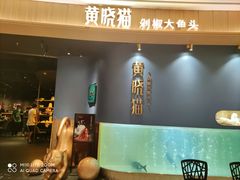 门面-黄晓猫剁椒大鱼头(海岸城店)