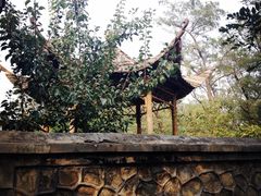 -阳台山自然风景区