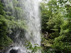 -龙苍沟森林公园