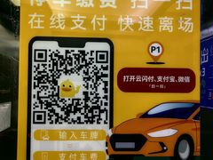 -上海浦东国际机场T1航站楼-P1停车场