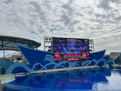 -上海海昌海洋公园
