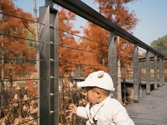 -昆山城市生态森林公园