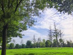 -汉长安城未央宫国家考古遗址公园