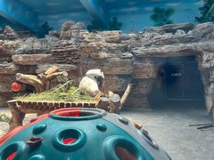 -石家庄市动物园