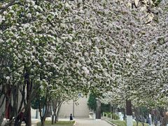 -山东师范大学(千佛山校区)
