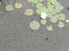 -孙武文化园-停车场