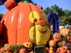 -郑州方特梦幻王国