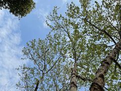 -江苏省美术馆(长江路新馆)