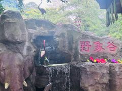 -野象谷景区
