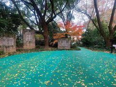 -上海醉白池公园