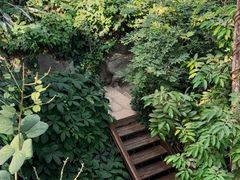 -郑州植物园