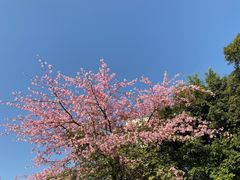 -海港城购物中心