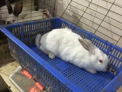 -米二红烧兔(华阳店)