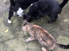 -南京工程学院(江宁校区)