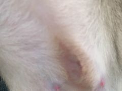 -乐宠动物医院