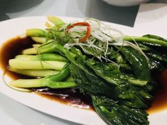 广东菜苔-沪碟·精菜坊(闵行店)