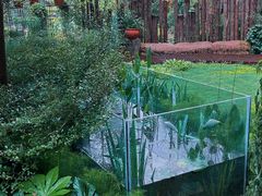 -深圳仙湖植物园