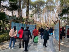 -人民公园-相亲角