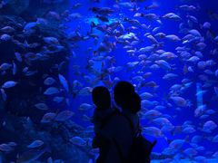 -成都浩海立方海洋公园