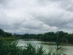 -白鹭湾湿地公园