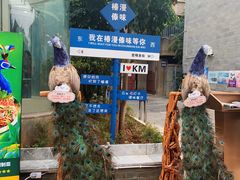 -建新园过桥米线(老街店)