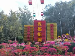 -攀枝花公园