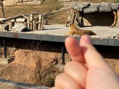-太湖龙之梦