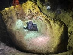 -湖南省地质博物馆