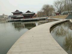 -雁滩公园