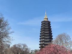-红梅公园