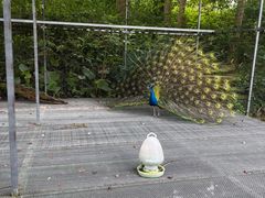 -福建鲤鱼洲酒店