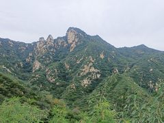 -大岭沟猕猴桃谷风景区