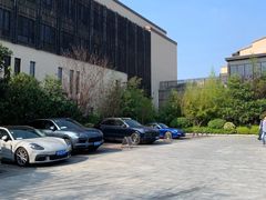 -上海崇明金茂凯悦酒店