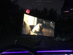 -枫花园汽车电影院(朝阳公园店)