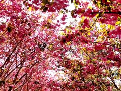 -石岛赤山风景区