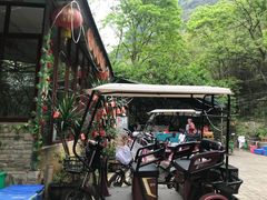 -柴火农家饭(遇龙河店)