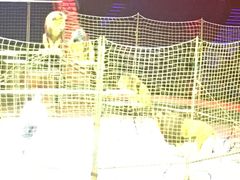 -珠海横琴长隆《卡卡虎奇遇记》