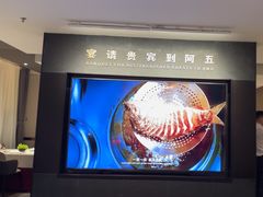 -阿五黄河大鲤鱼(英协路店)